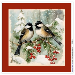 Potah na polštář -  samet - vánoční ptáčci