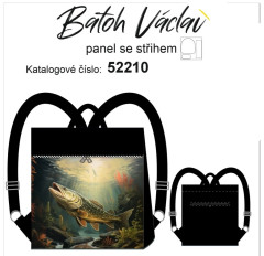 Batoh Václav kočárkovina - štika