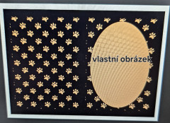 Očkovací průkaz- kočárkovina-  vlastní vzor